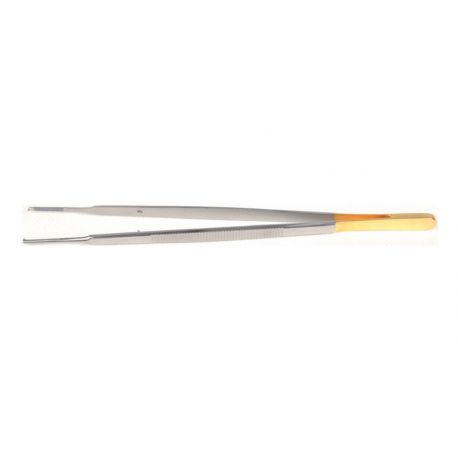 T.C. Pince Ligne Gold Gerald - 17cm - Bouts Rugueux