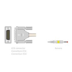Câble Patient ECG 2,2 m - banana - compatible avec Cardiogima 12