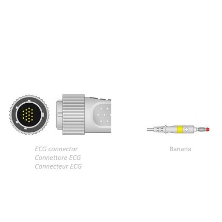 Câble Patient ECG 2.2m - Banane - Compatible avec Cardioline