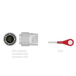 Câble Patient ECG 2.2m - Snap - Compatible avec Cardioline