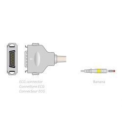 Câble Patient ECG 2.2m - Banane - Compatible avec Fukuda Denshi 