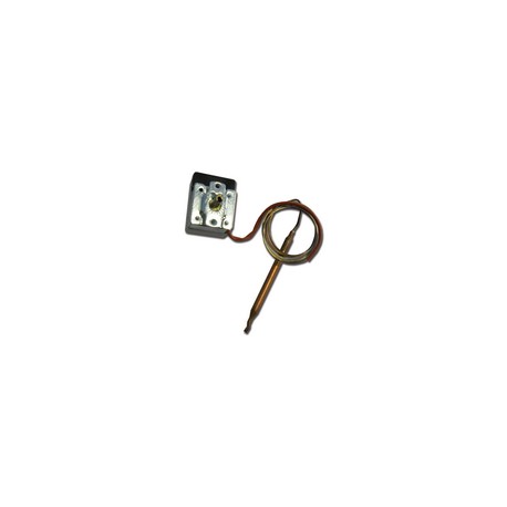 THERMOSTAT POUR GIMETTE
