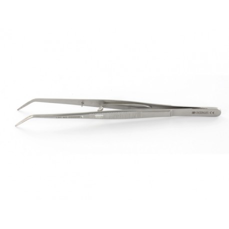 Pince London College - 15 cm