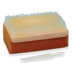 BROSSE ANTISEPTIQUE PVP-IODE