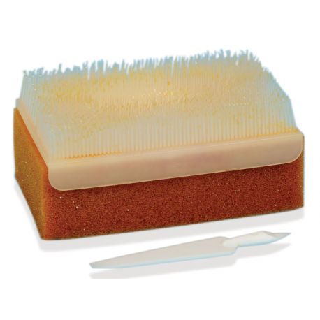 BROSSE ANTISEPTIQUE PVP-IODE