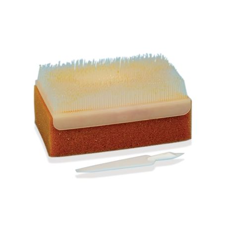 BROSSE ANTISEPTIQUE PVP-IODE - MULTILINGUE