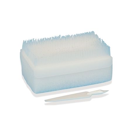 BROSSE ANTISEPTIQUE CHLORHEXIDINE